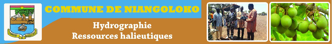 Commune de NIANGOLOKO